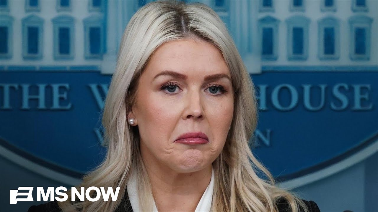 'General B.S.' from Leavitt about Iran is 'unfortunate': Steele