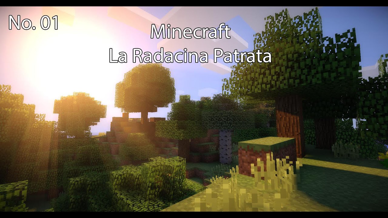 Minecraft la Radacina Patrata Ep 1 | Progress has been done !