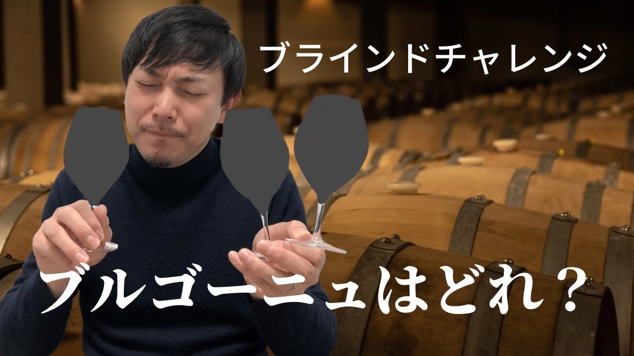 【ワイン/ブラインドテイスティング】３本からどれがブルゴーニュかを当てます！高難度ブラインドチャレンジ！ ゆきおとワイン535