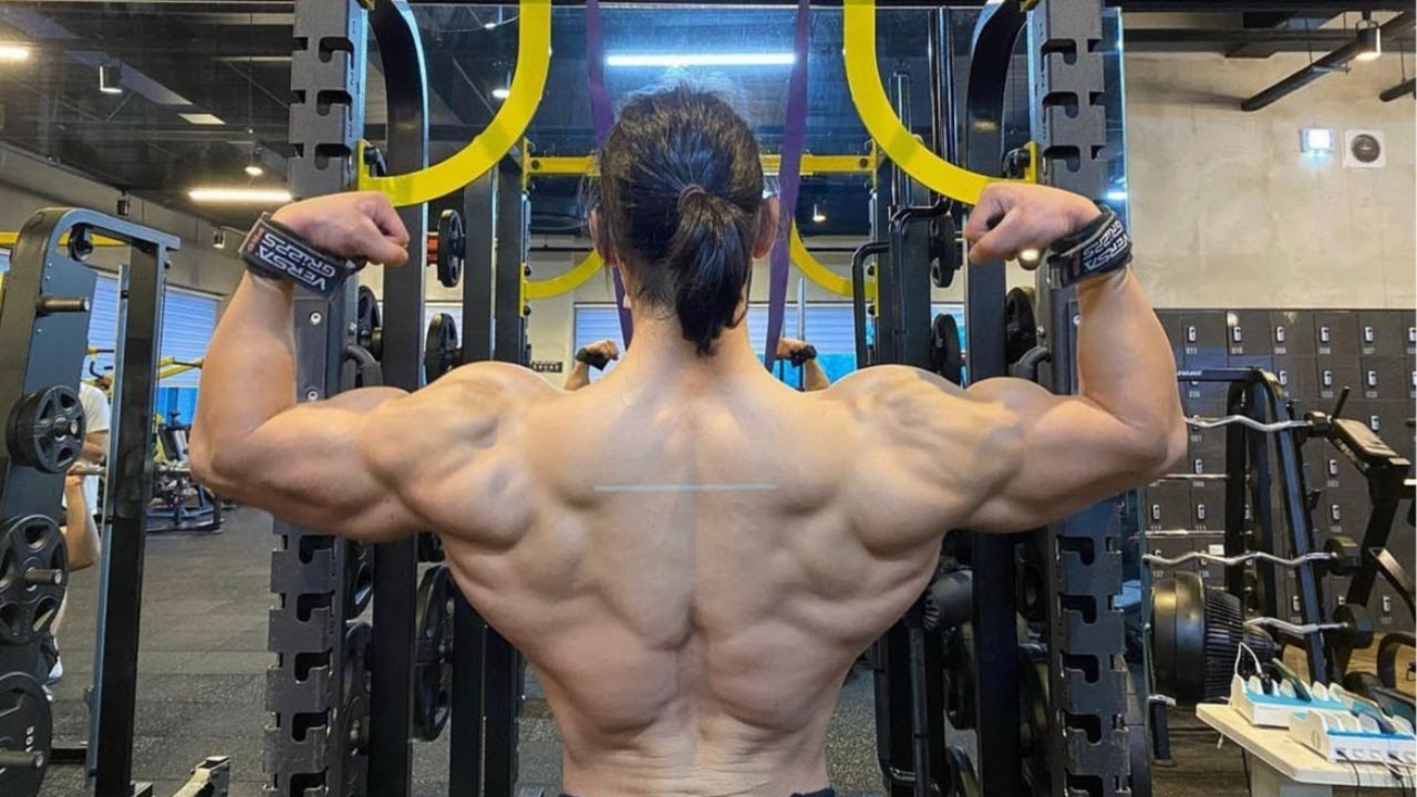 한의사의 등을 만들어준 