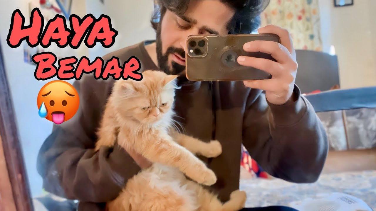 Haya Bemar😞Aur din be Zaya ho gya🤦‍♂️