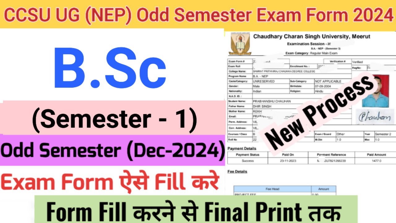 How to Fill CCSU Odd Semester Exam Form 2024 | CCSU B.Sc (NEP) Exam form fill up | CCSU Exam Form