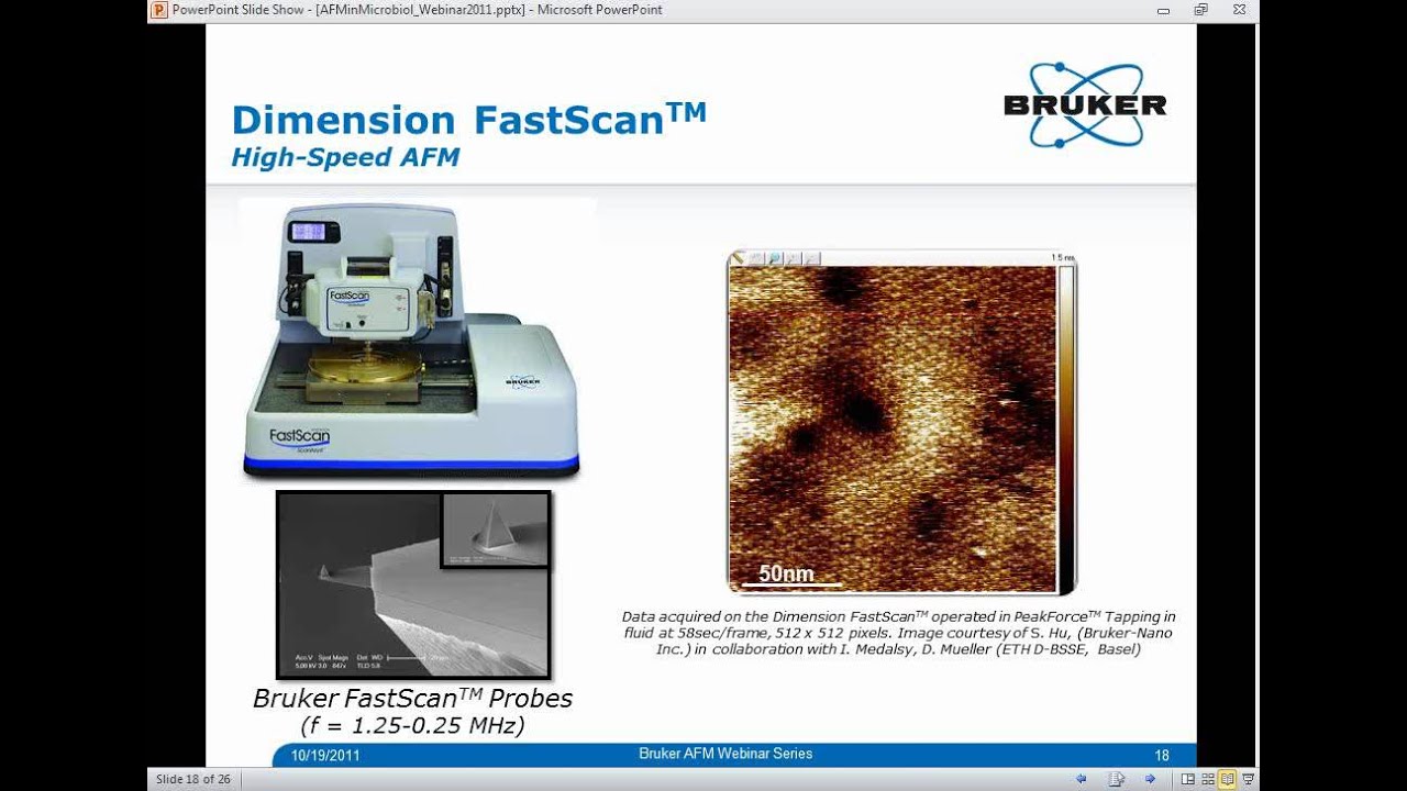 AFM | Advances in Atomic Force Microscopy Technology for Microbiological Research | Bruker