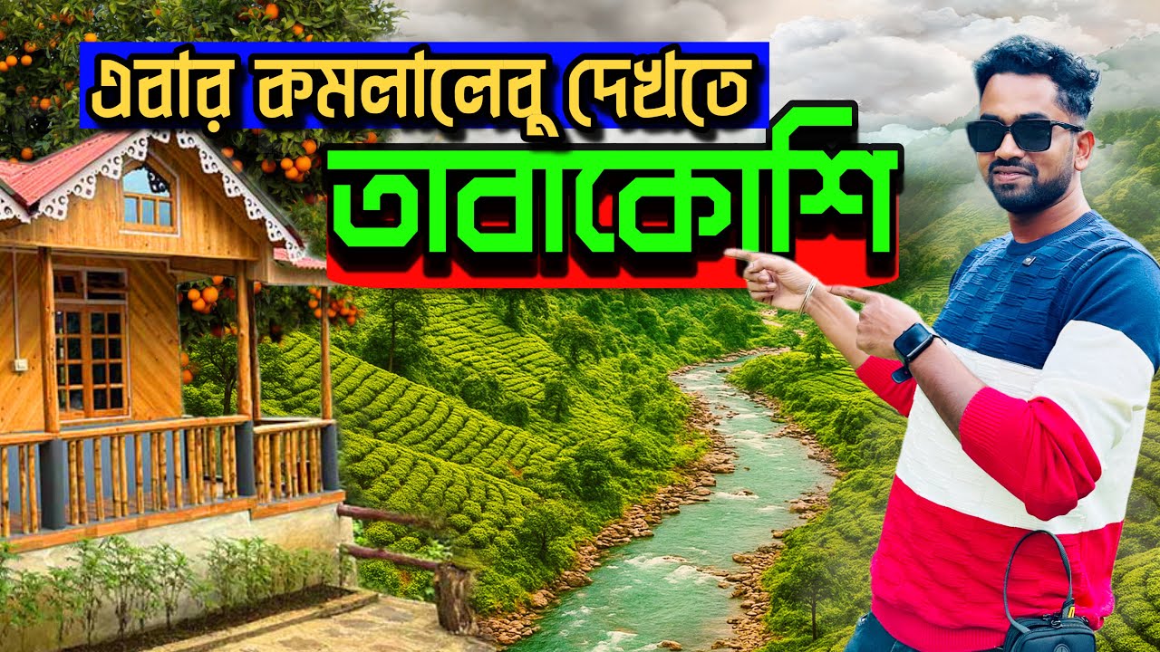 দার্জিলিং এর কাছে, একসাথে - মেঘ ,পাহাড় , চা ও কমলালেবুর রাজ্য | Darjeeling Tour | Tabakoshi Homestay