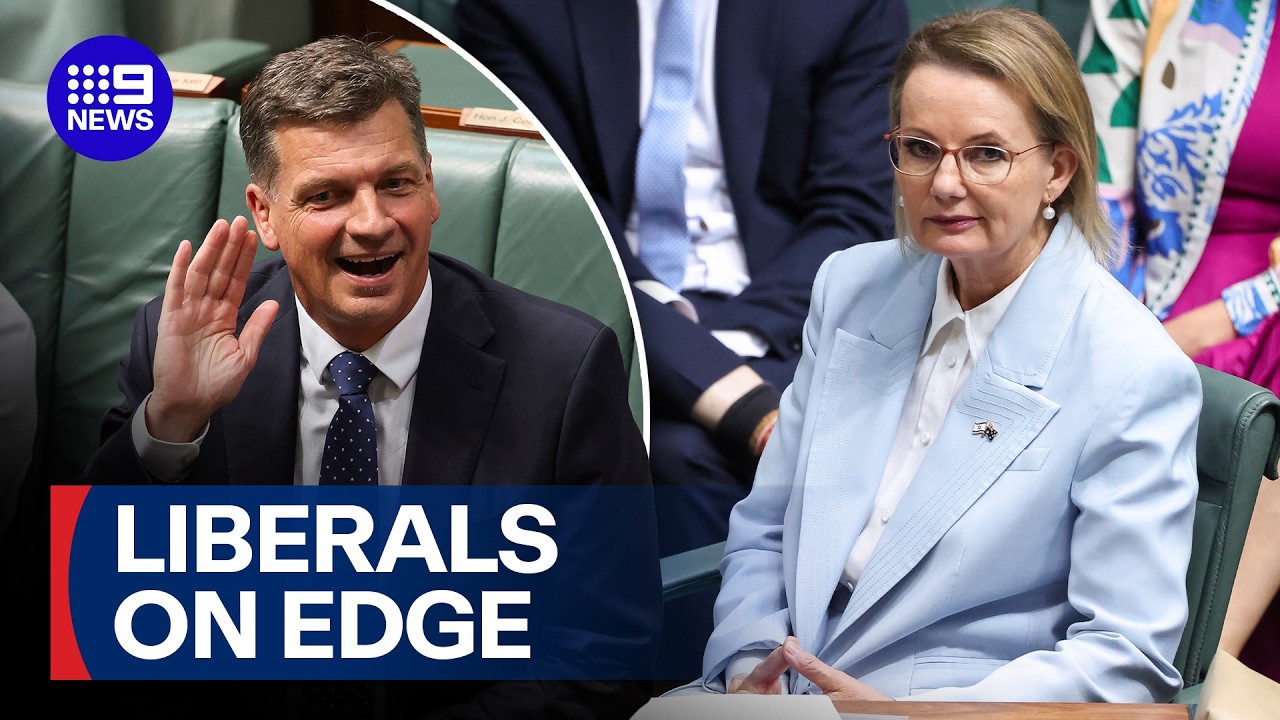 MPs anticipate Angus Taylor to challenge for leadership | 9 News Australia