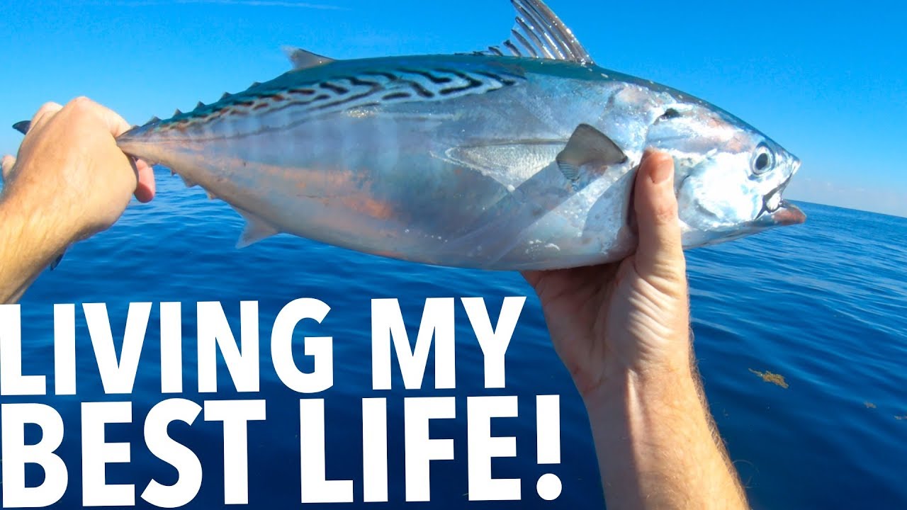 Living My Best Life! FISHING PRO!