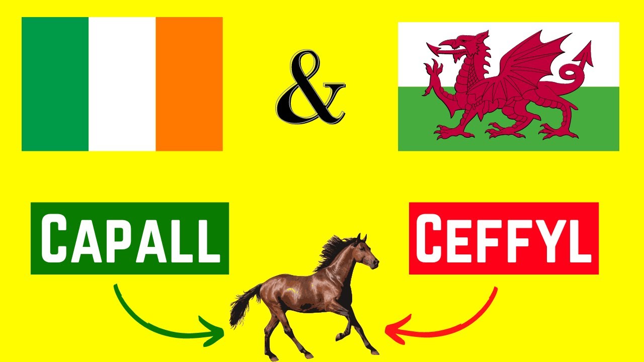 20 Words In Irish & Welsh