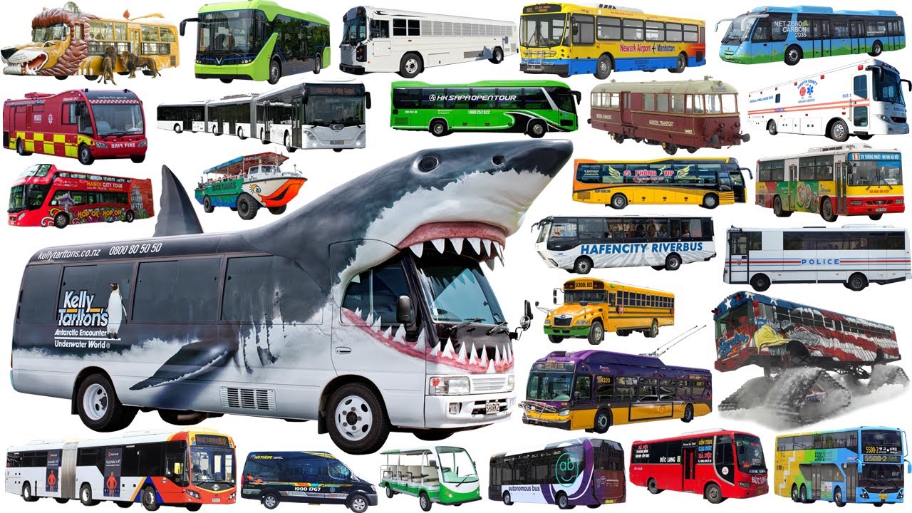 NEW SHARK BUS - BUSES Collection Name, School Bus, Police Bus, Travel, Coach, Electric, Trolley
