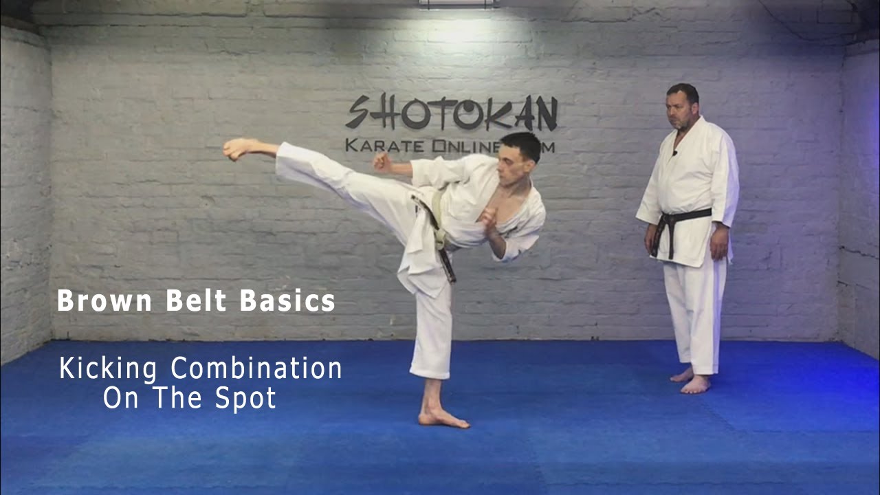 Brown Belt Syllabus Mae Geri Yoko Geri Kekomi Ushiro Geri Mawashi Geri Brown Belt Combination 2