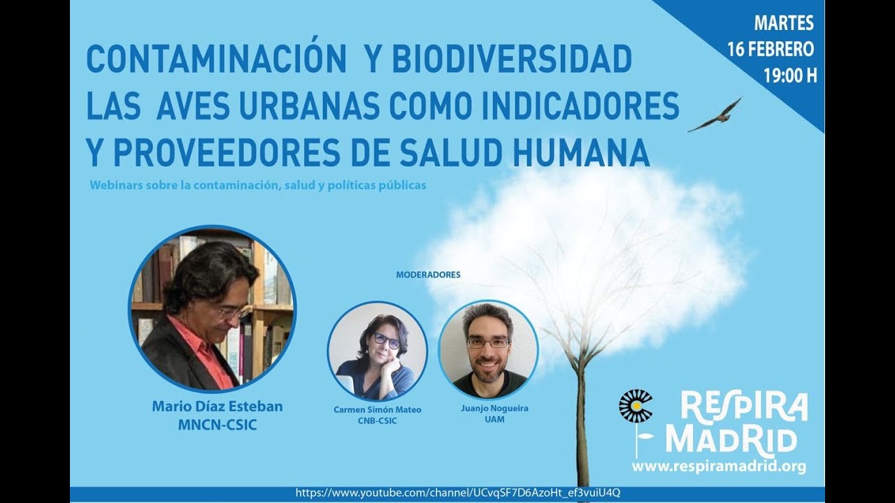 Contaminación y Aves Urbanas