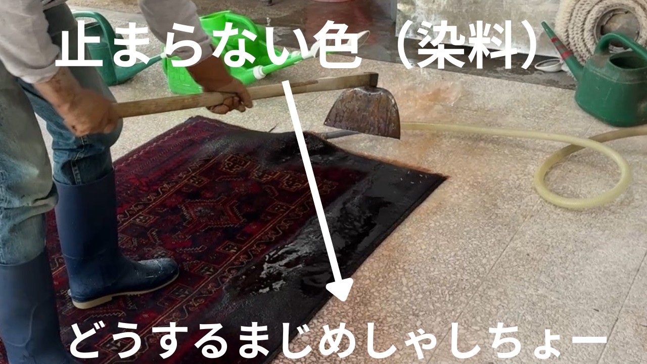 「自分で洗うのは諦めてください」絨毯オタクが教える自宅洗浄が絶対NGな本当の理由。