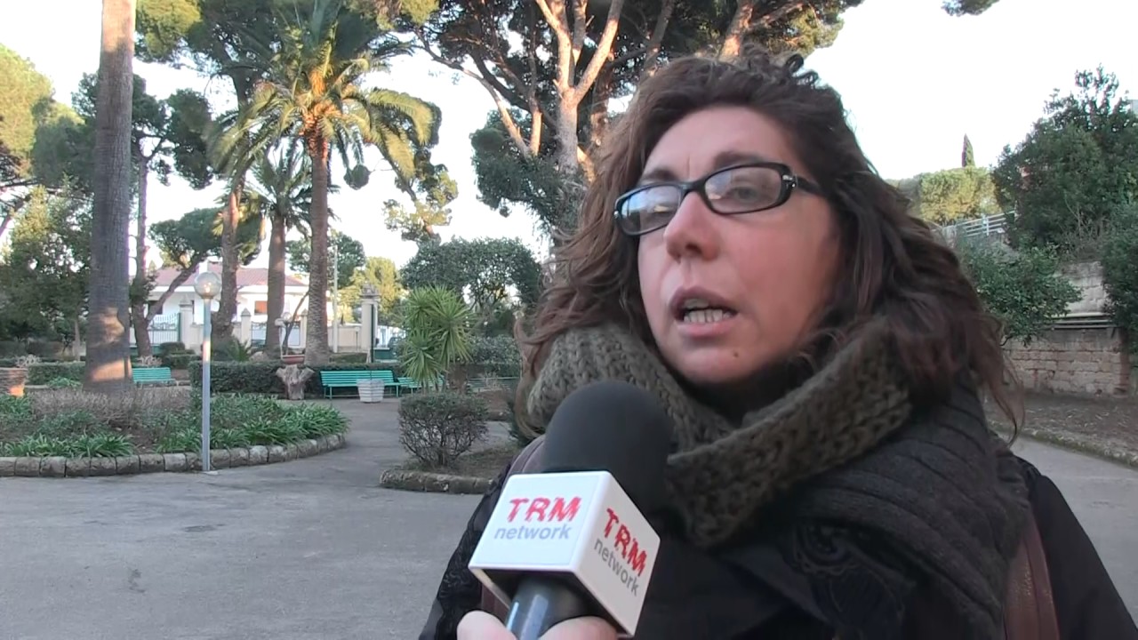 Approfondimento. Il centro socio educativo 