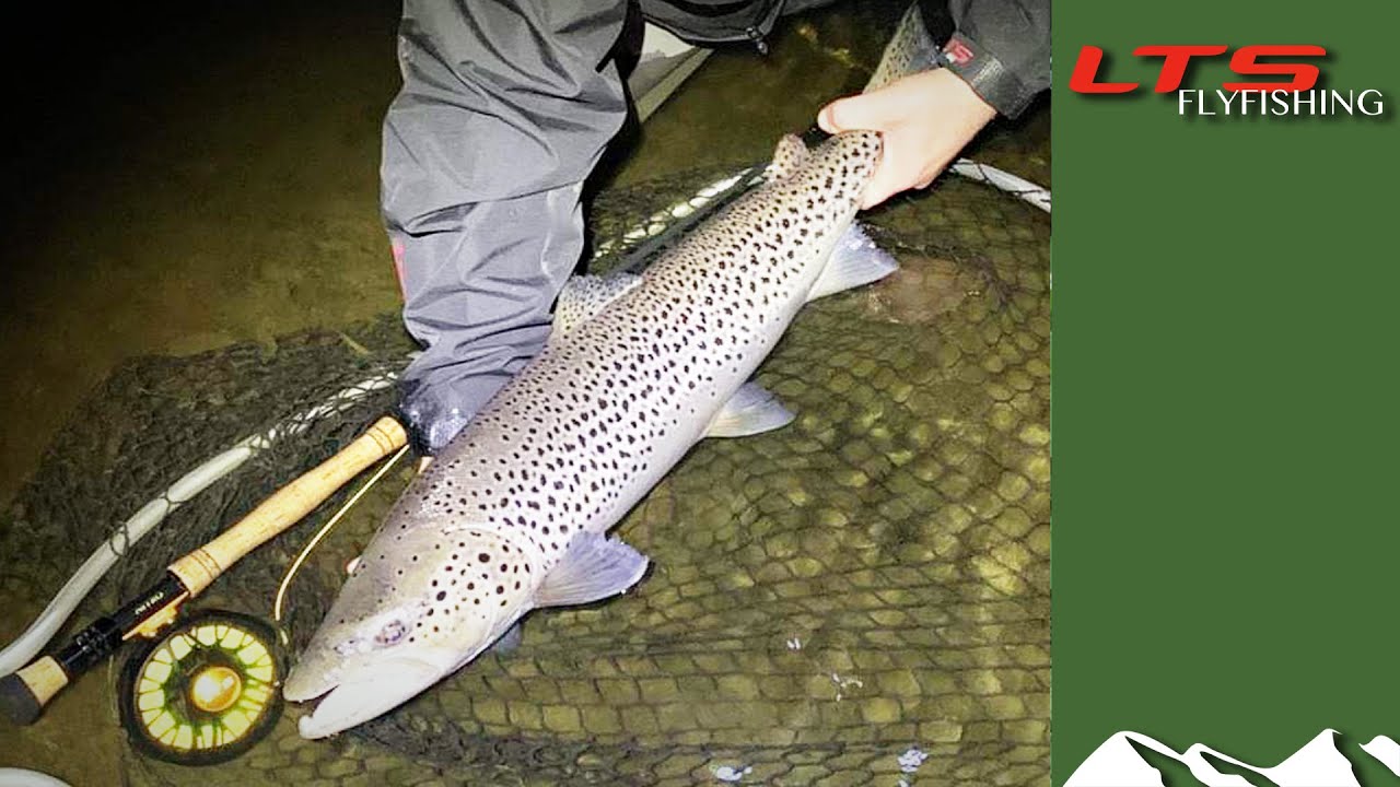 Dollaghan – more fun than sea trout