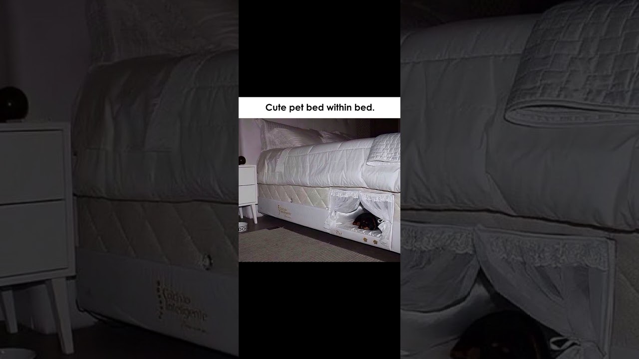 Apne Sath Sath Apne dog ka bhi Bed 