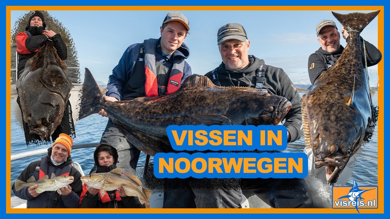 100+ tips | Alles wat je moet weten voor jouw visreis in Noorwegen 🎣 | Complete gids vanuit Lauvsnes