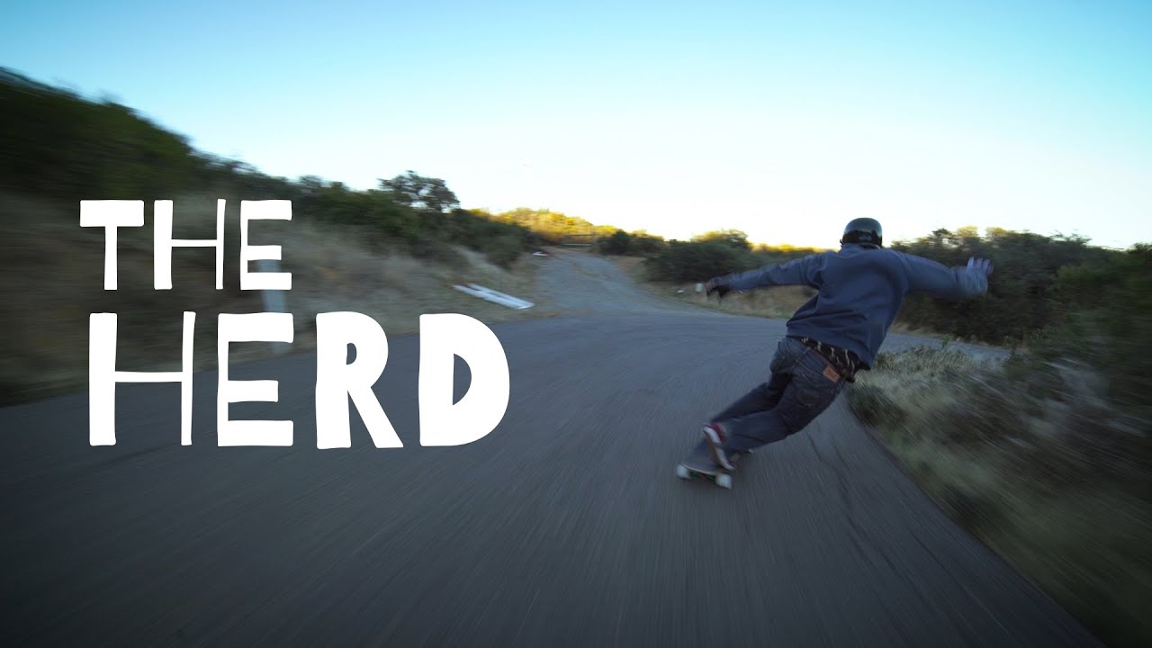The Herd