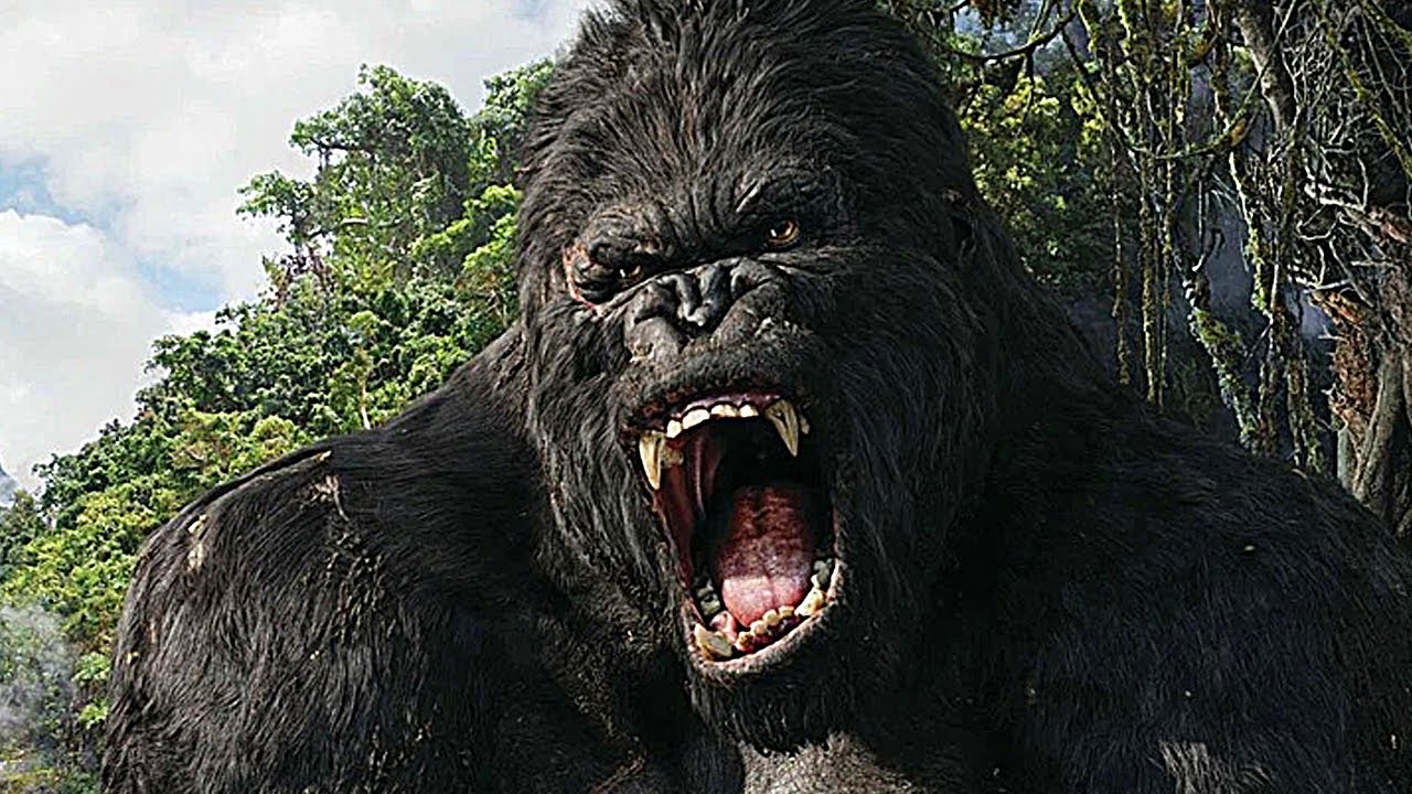 King Kong &bull; Dethroned &bull; X-Ray Dog