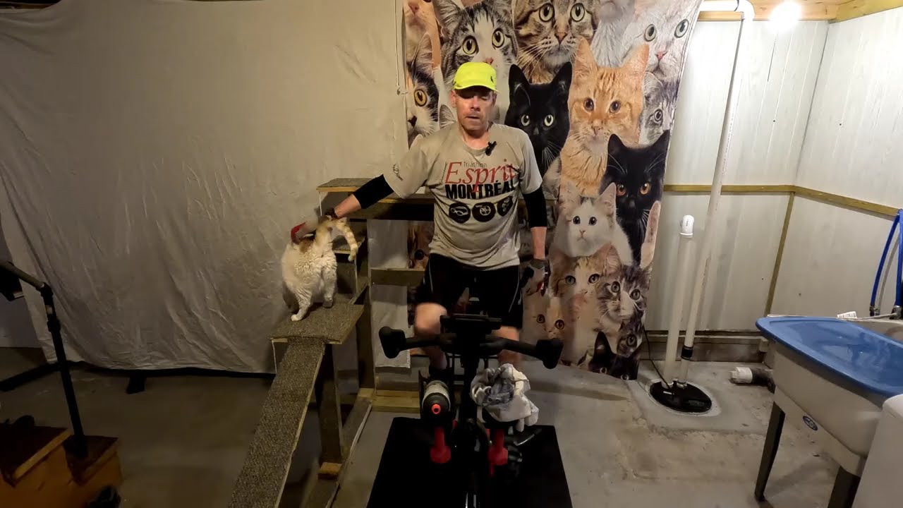 Crazy Catman Spin Class Advanced with Weights 60min, by Jason Pare'