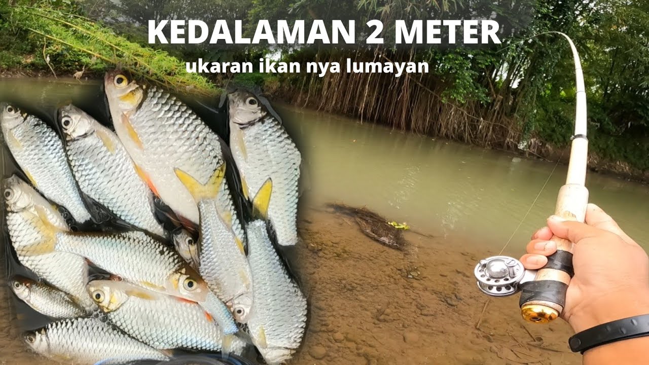 SPOT SUNGAI DALAM BERPOTENSI ADA IKAN BESAR NYA ‼️ MANCING WADER KEPEK