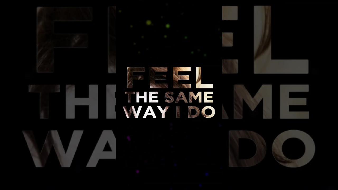 Wonder by Skender Beck