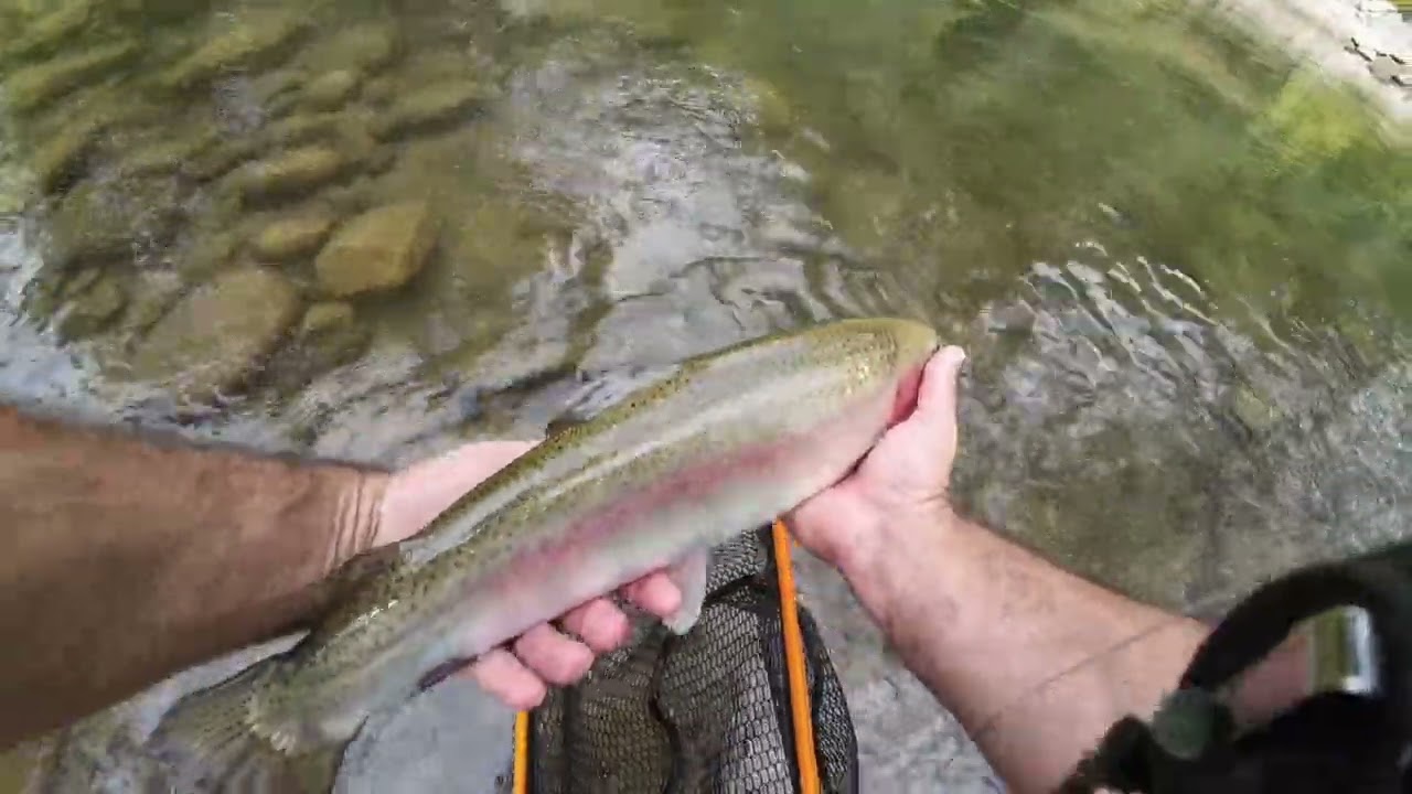 Fishing for big trout with no time to spare 