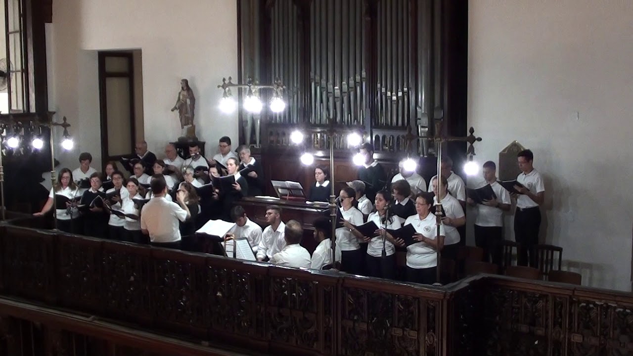 Tota pulchra es, Maria (Canto Gregoriano)