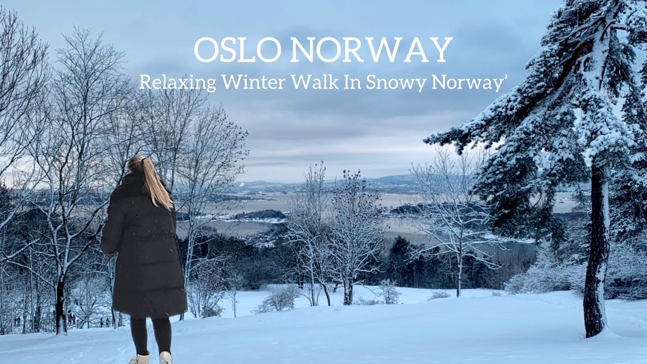 OSLO NORWAY, Relaxing Winter Walk In Norway(Extreme Much Snow)❄🇳🇴 Virtual Walking Tour! 4K/60ftp