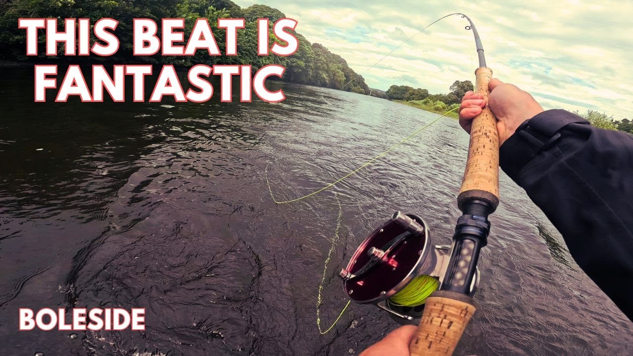 Salmon Fishing Scotland 2024 | Boleside