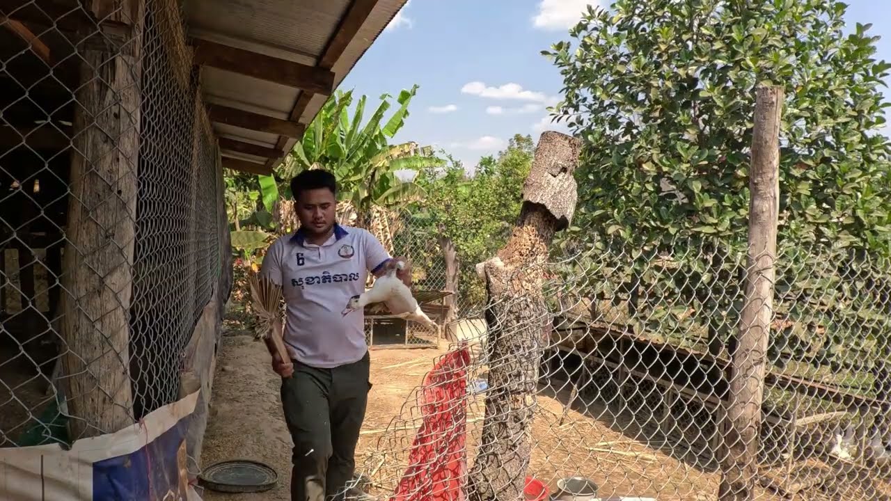 ថ្ងៃនេះមកចាប់ទាលក់បង្ហើយទ្រុងម្ដង