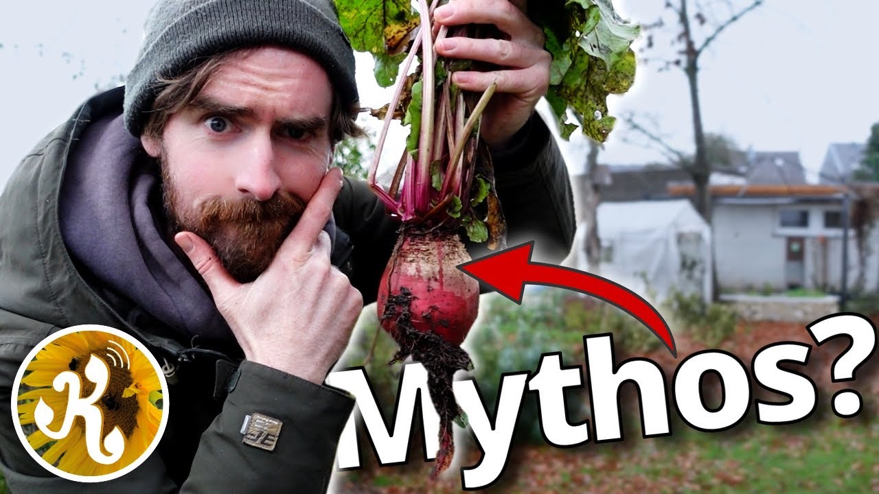 Миф о самодостаточности?! Вот что говорит наука 🌱