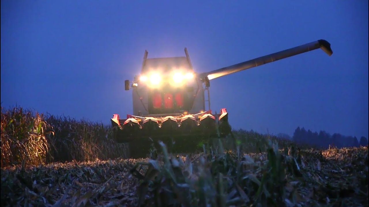 Lu Walser - Claas LEXION 450 - Maisdreschen