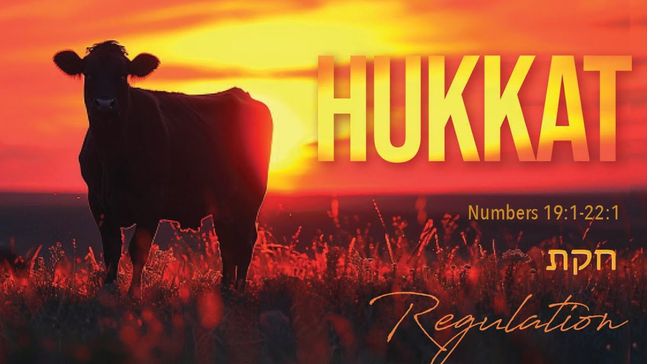 July 5, 2025 Torah Parsha:  Hukkat (Regulation)