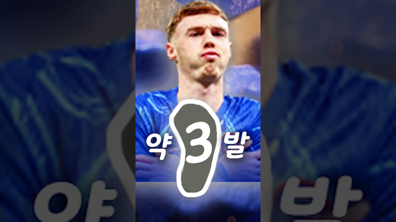 25토티 파머 유일한 약점