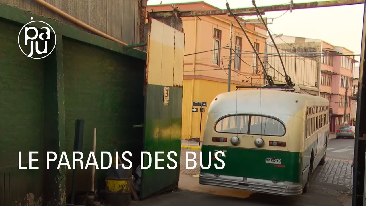 Quand de vieux bus suisses ressuscitent au Chili