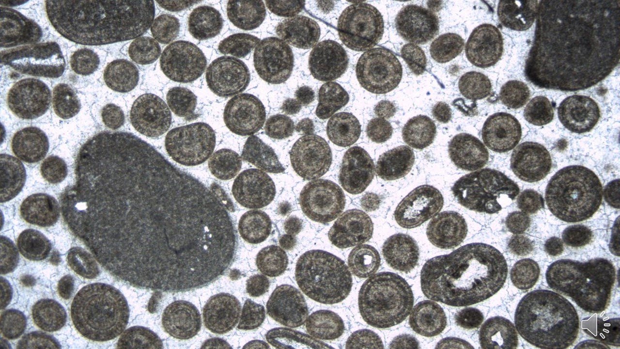 Limestone Classification