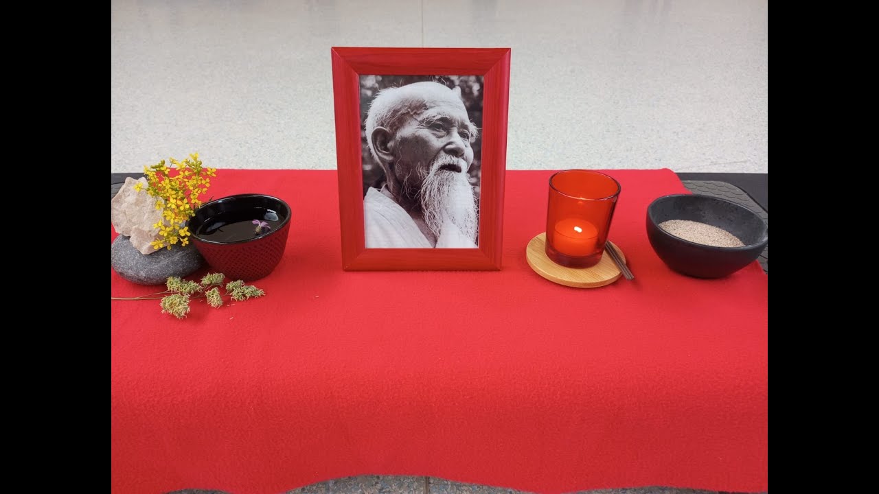 Dynamique Aïkido Birankaï France Sandan