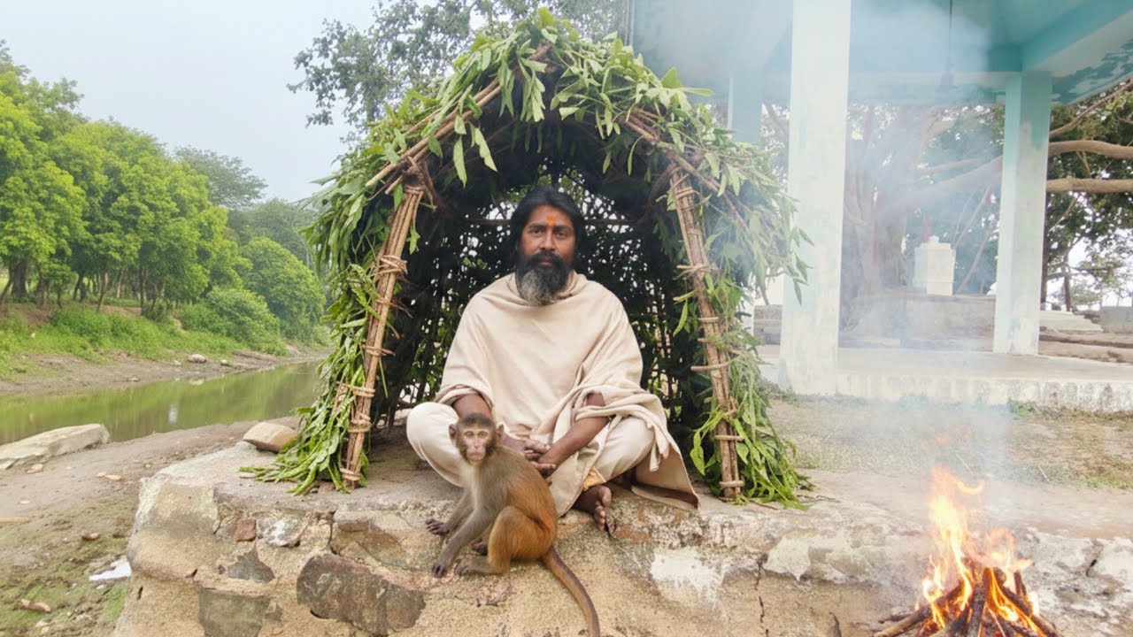 मोह-माया का त्याग कर ईश्वर की खोज जंगल में सन्यासी की साधना