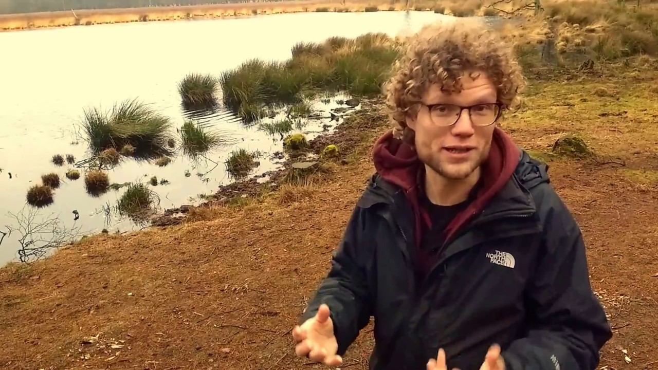 Het Lunsveen: een pingoruïne in Drenthe