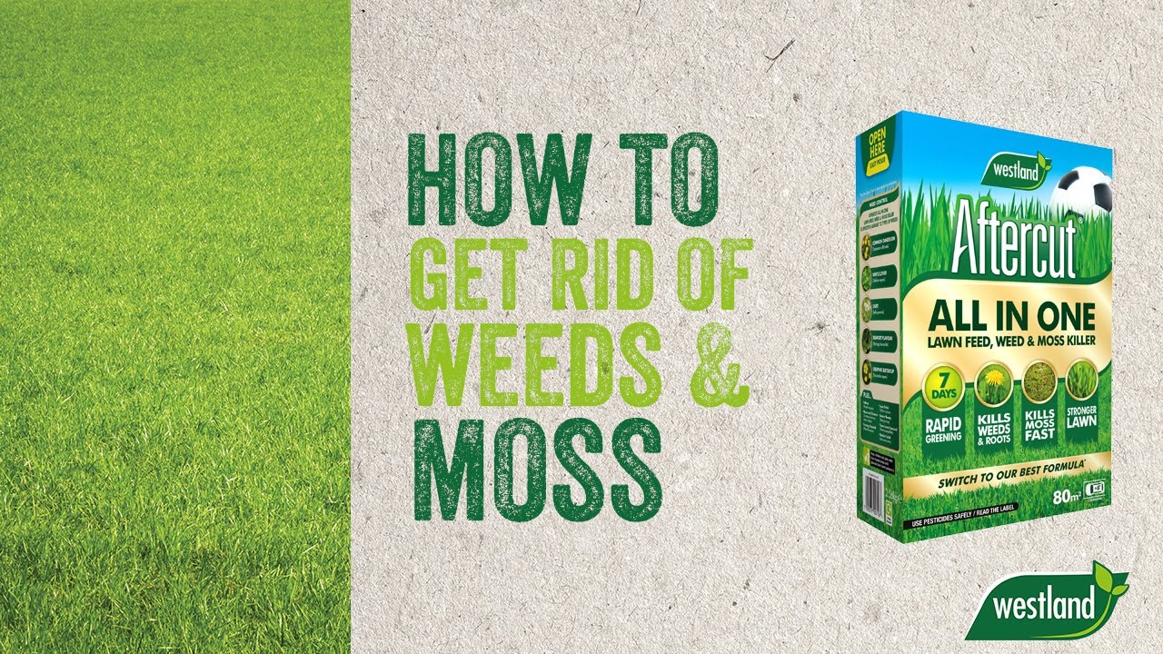 How To Get Rid of Weeds And Moss In Your Lawn With Aftercut All In One