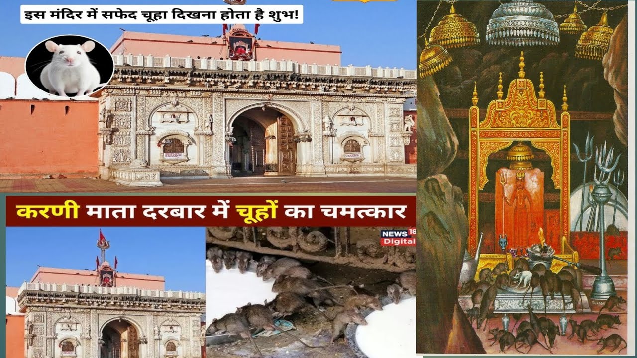 Deshnok karni mata mandir || karni mata mandir deshnok bikaner rajhastan 🙏🙏#@MonikaRavi5858 