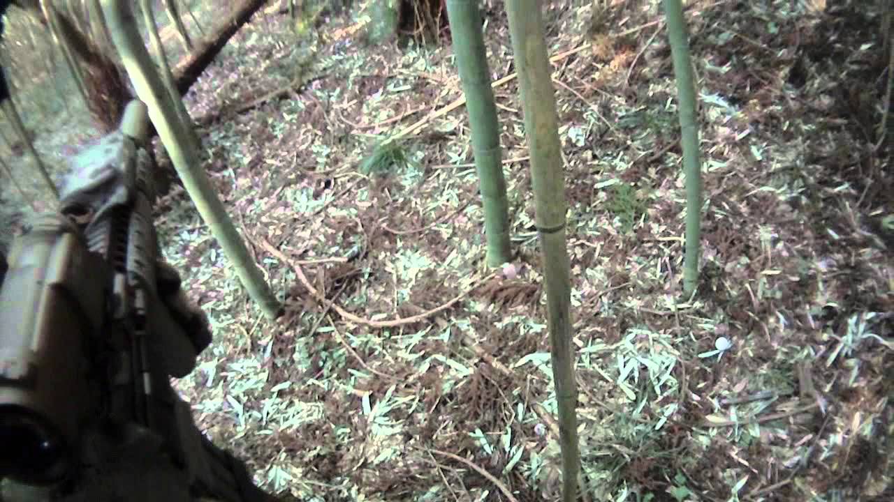 BB Jungle 25Mar12 CRO