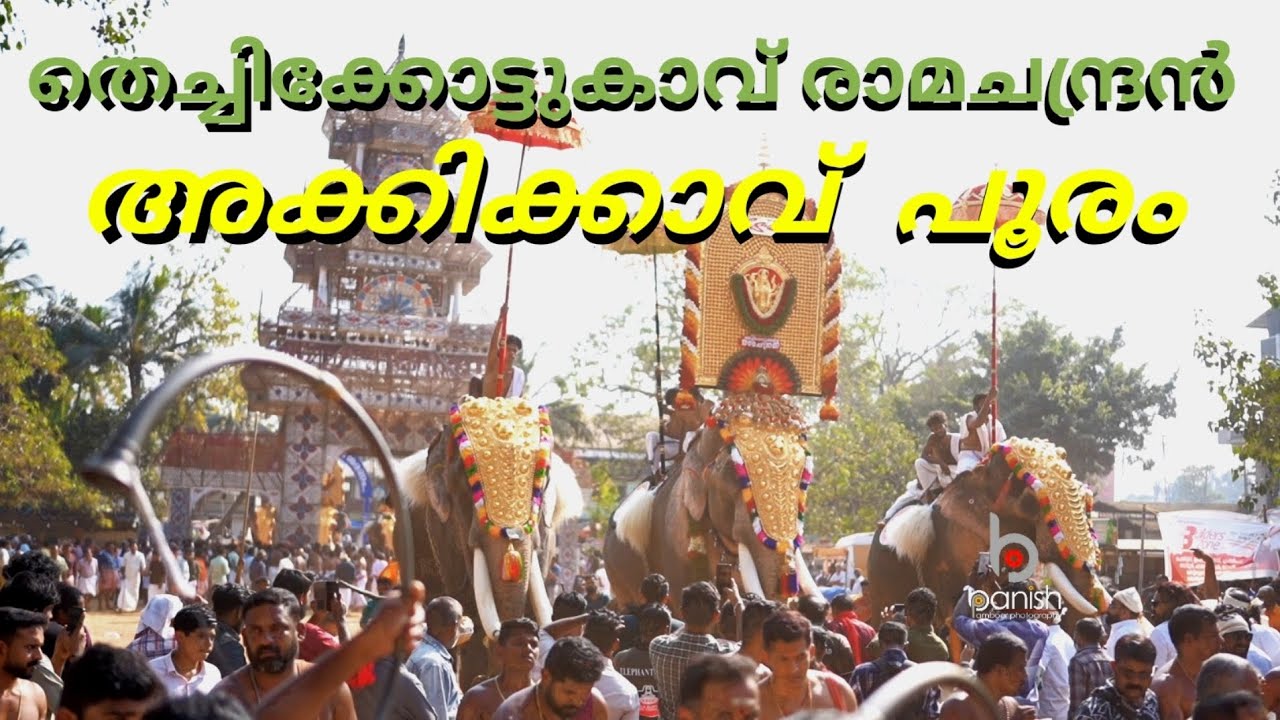 അക്കിക്കാവ് പൂരം #thechikkottukkavuramachandran #thrissurpooram #pooram #aanapremi #thrissurnews
