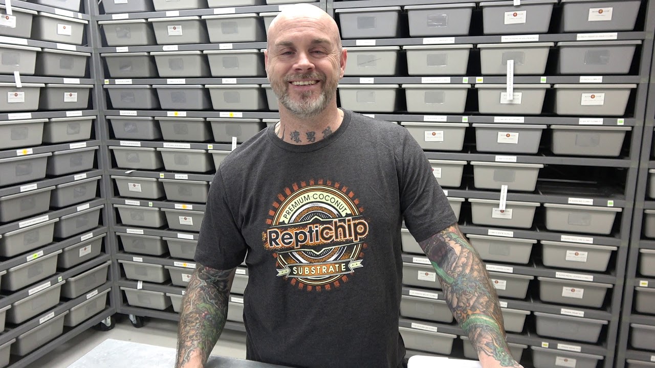 Mutation Creation's 2019 Top 20 Ball Pythons !! Part 2