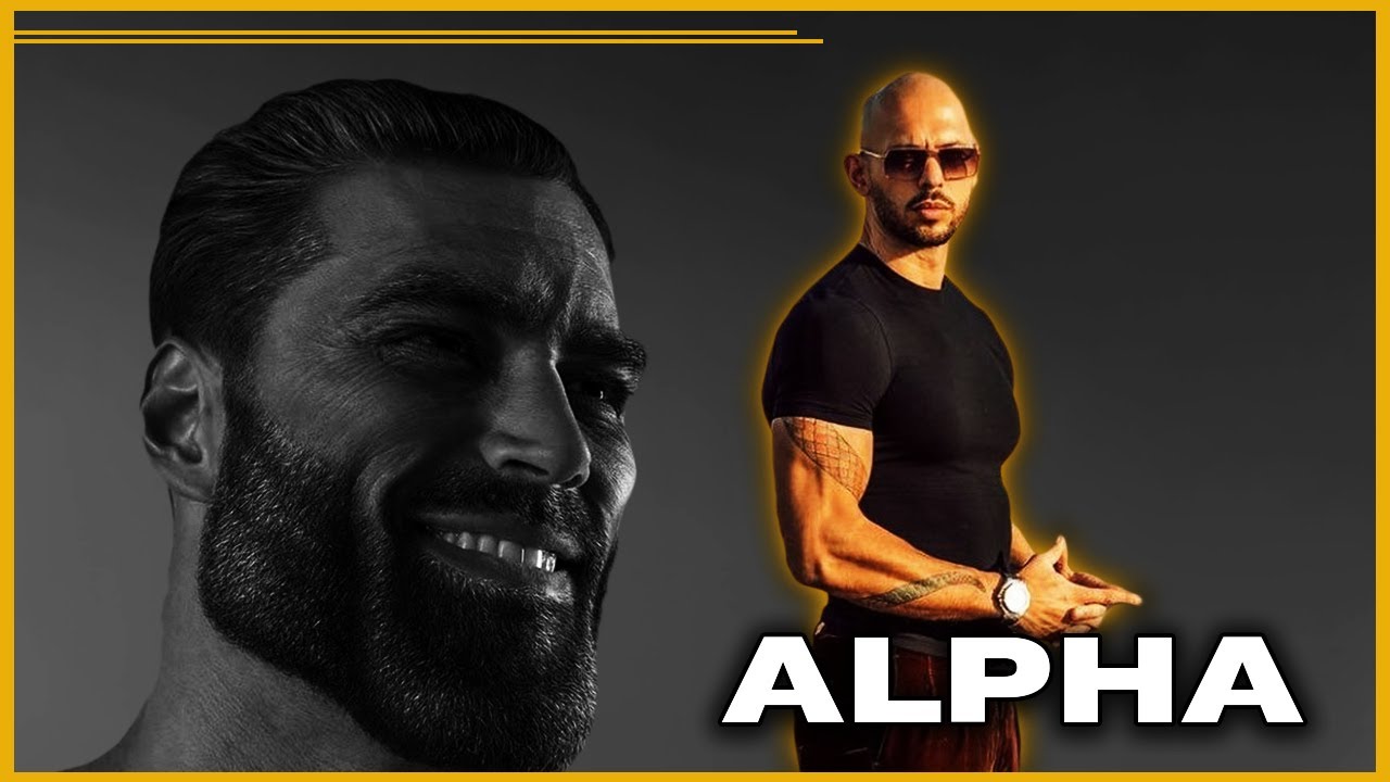 ALPHA Mann - Nur gef&auml;hrliche Illusion? [M&auml;nner Archetypen erkl&auml;rt]