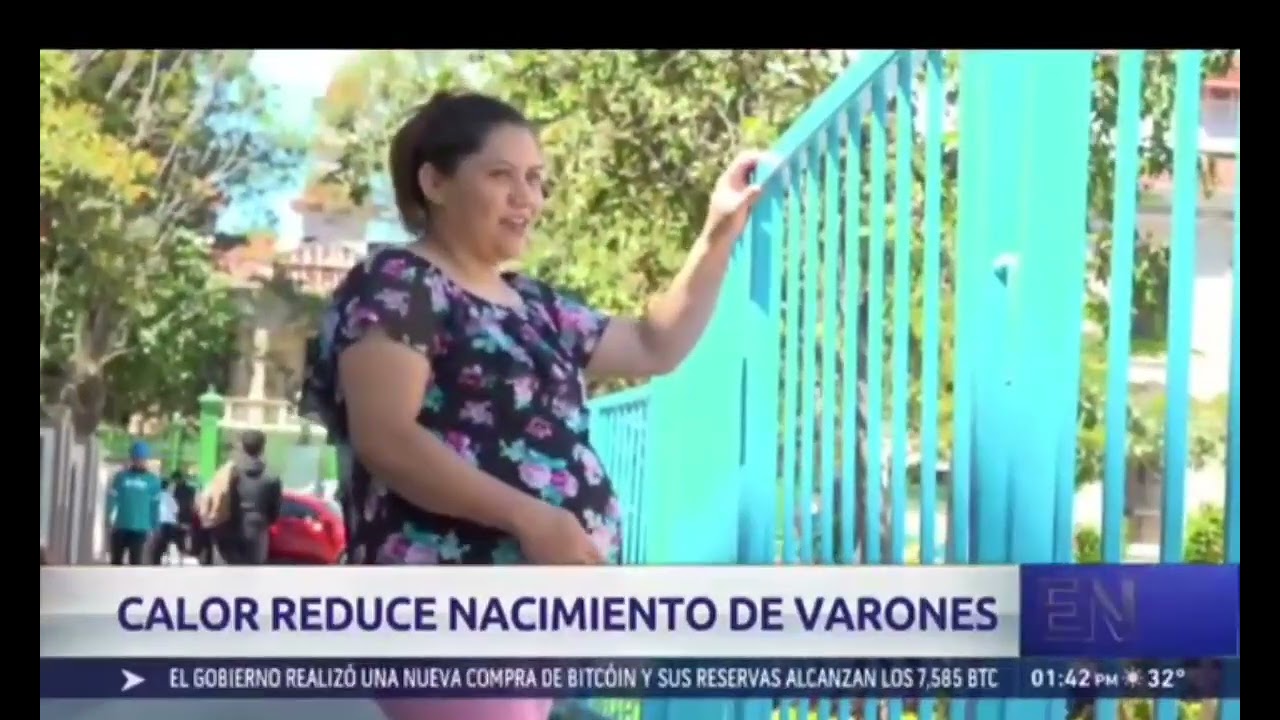 Aumento de temperatura disminuye nacimientos de varones, según estudio.EN6