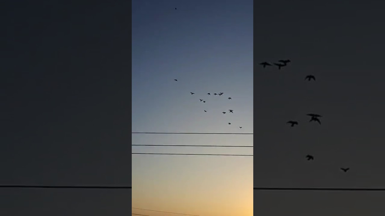 ٨ يناير ٢٠٢٦
