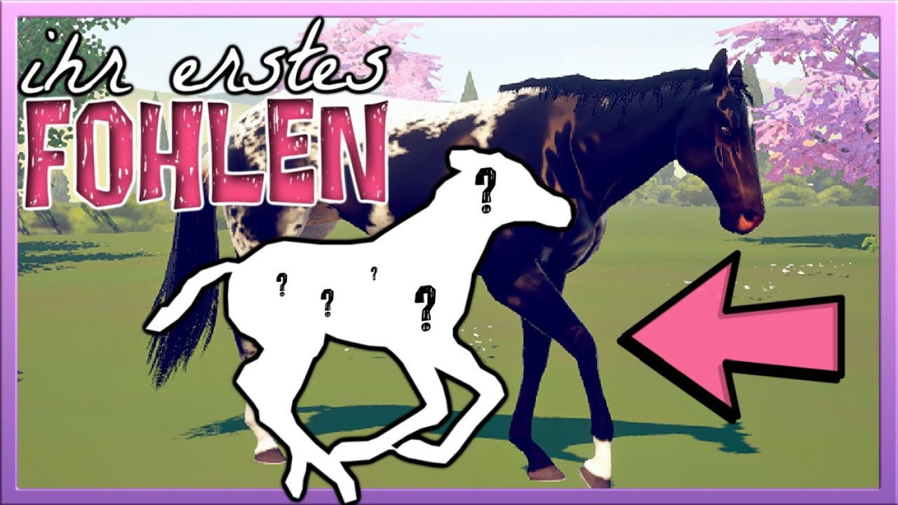 Das ERSTE Fohlen meiner RAPP-STUTE werdet ihr leider NIE sehen 💔 Rival Stars Horse Racing #208
