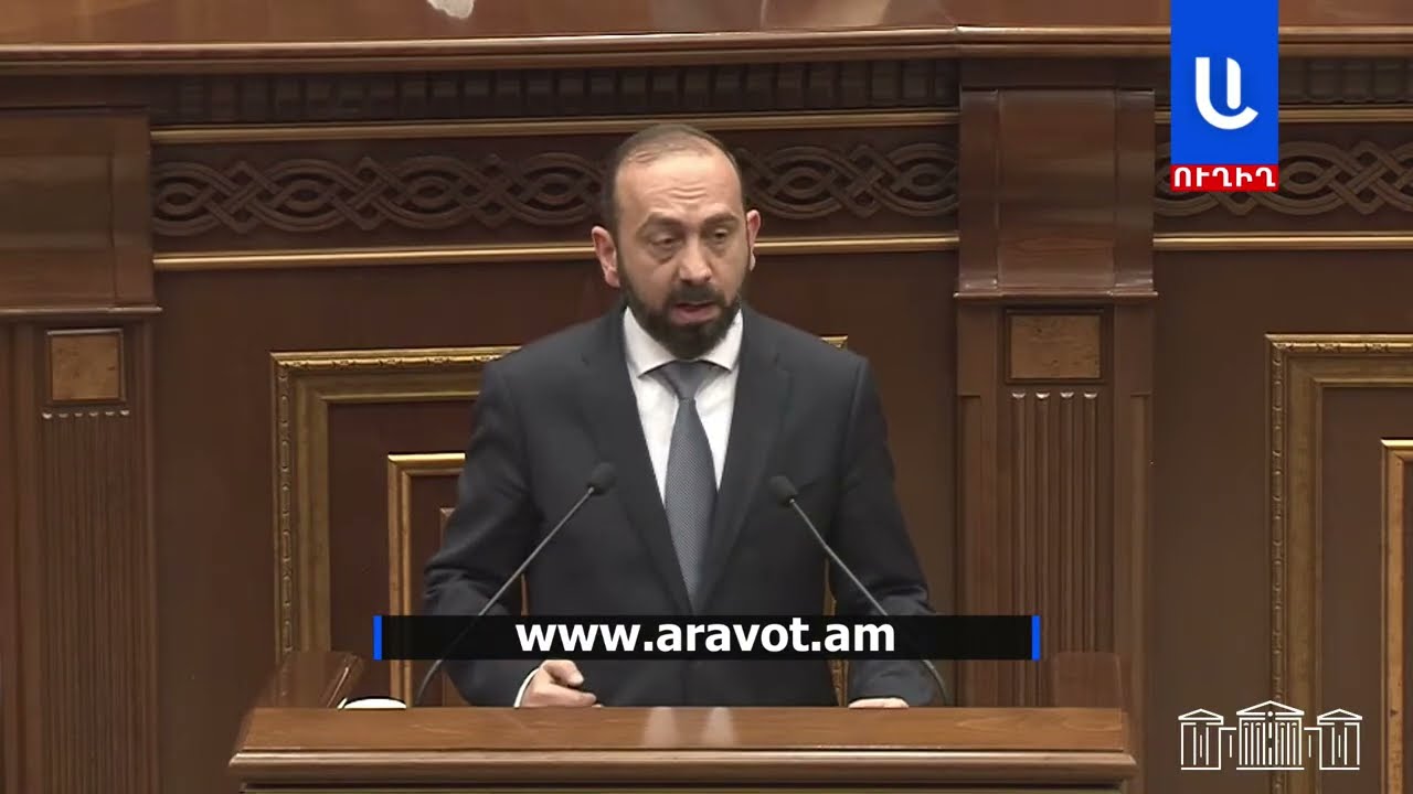 Մարդը Շրի-Լանկայից մեկ ամիս լողազգեստով նկար է քցել, ուրեմն վճարունակ է․ Միրզոյանը