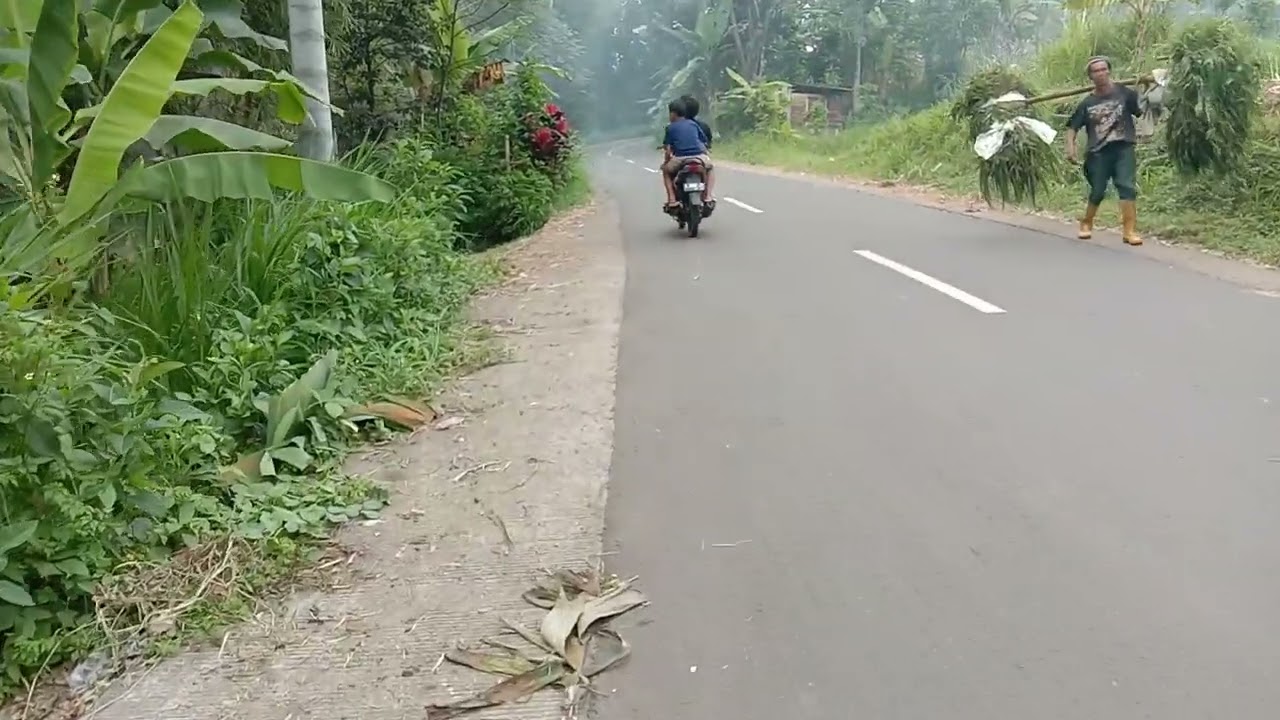Jalan hijau
