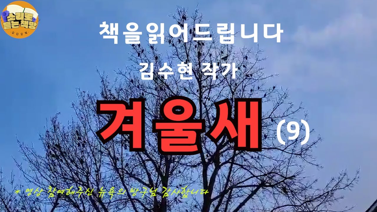 [장편소설오디오북] 겨울새(9) / 김수현작가 /시어머니는 영은을 찾아와 양자택일을 하라며 온갖 욕설을 퍼붓는다.  한편 도현은 아기는 꼭 보내야한다고 강하게 얘기한다..